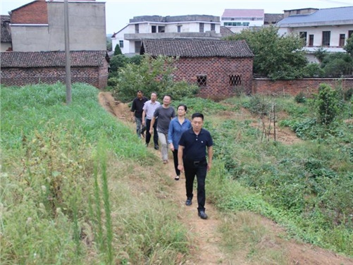 开云·体育,开云（中国）党委书记张格林到攸县桃水镇小集村指导开展扶贫工作