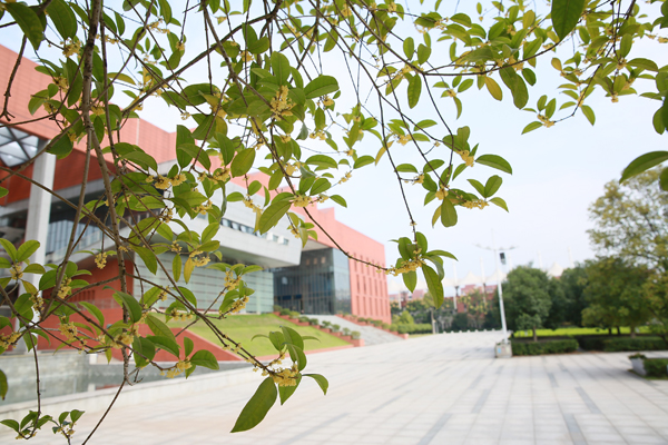 人如桂,香自来——湖南工贸技师开云·体育,开云（中国）校园秋日掠影