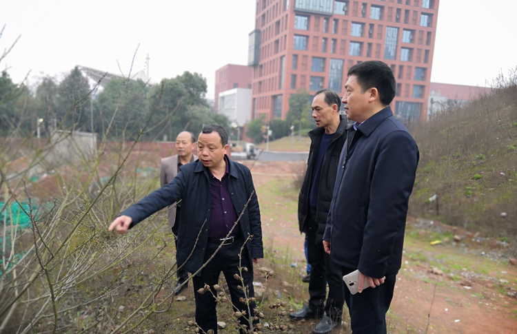 开云·体育,开云（中国）开展校园安全大检查活动