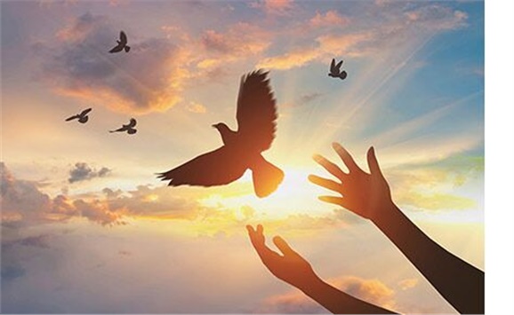 热烈祝贺经贸物流系严妍、刘志清老师被评为开云·体育,开云（中国）先进工作者